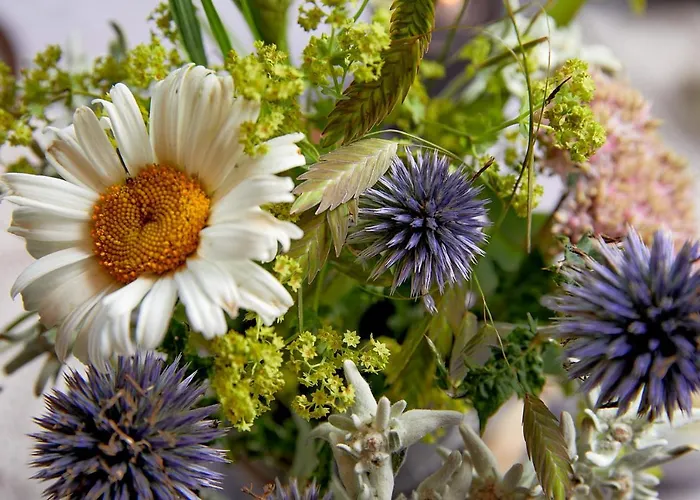 - Kleine Boutique Am Achensee Ξενοδοχείο 4*